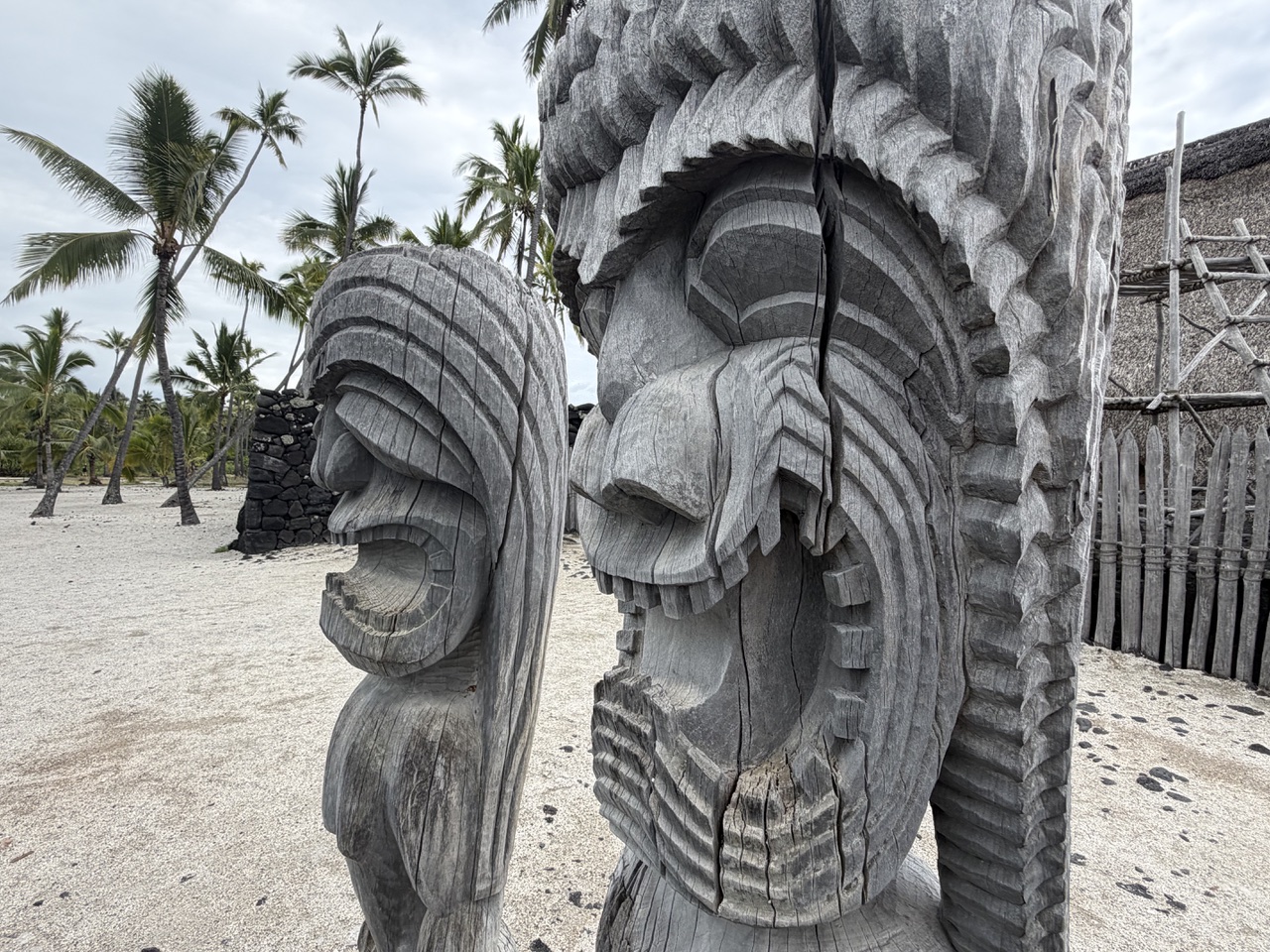 Tiki, le Premier des Hommes